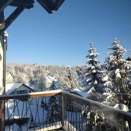 Royal Blue Wellness & Zlatibor