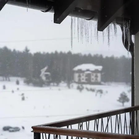 Royal Blue Wellness & *